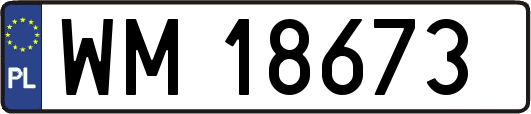 WM18673