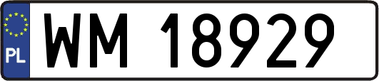 WM18929