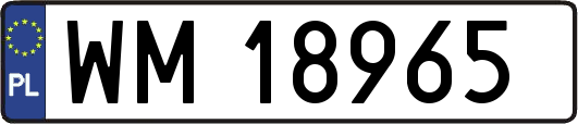 WM18965