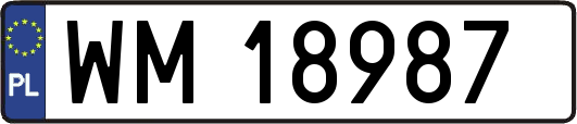 WM18987