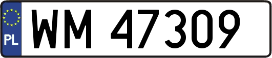 WM47309