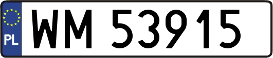 WM53915