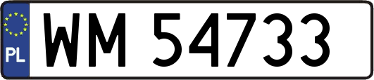 WM54733