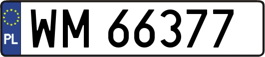 WM66377