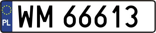 WM66613