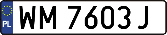 WM7603J