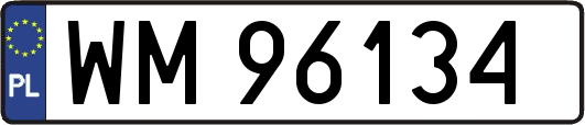 WM96134