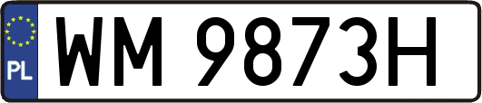 WM9873H