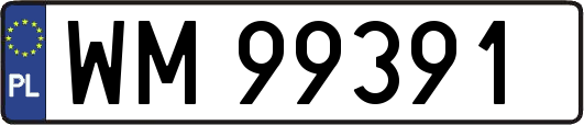 WM99391