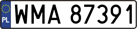 WMA87391