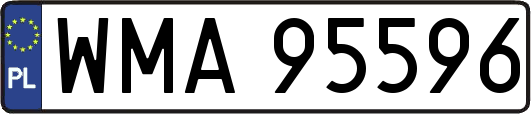 WMA95596