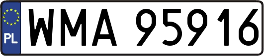 WMA95916