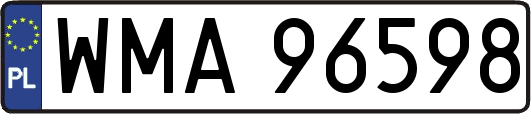WMA96598