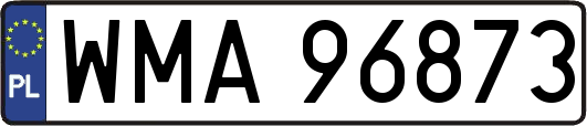 WMA96873
