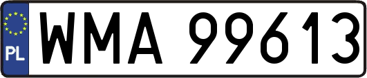 WMA99613