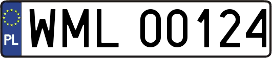 WML00124