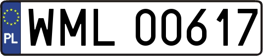 WML00617