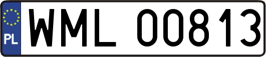 WML00813