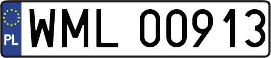 WML00913