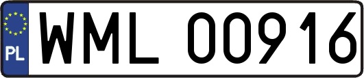 WML00916