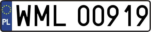 WML00919