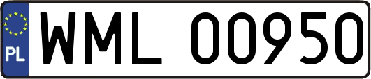 WML00950