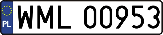 WML00953