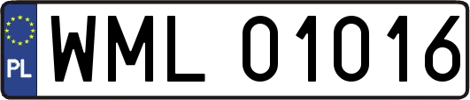 WML01016