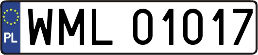 WML01017