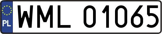 WML01065