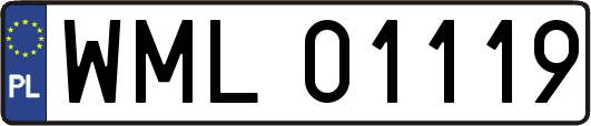 WML01119