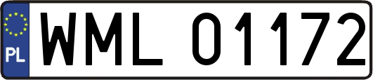 WML01172