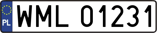 WML01231