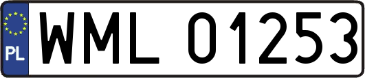 WML01253
