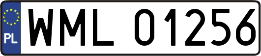 WML01256