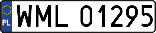 WML01295
