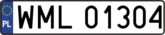 WML01304
