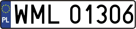 WML01306