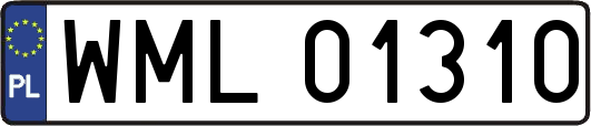 WML01310