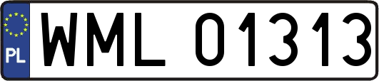 WML01313