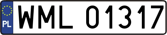 WML01317