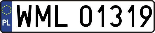 WML01319
