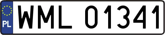 WML01341