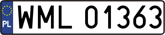 WML01363