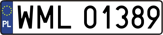 WML01389