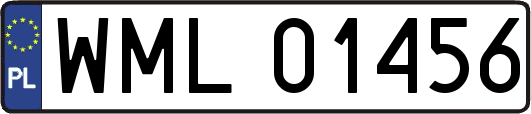 WML01456