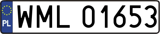 WML01653