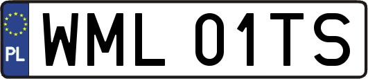 WML01TS