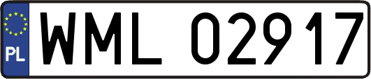 WML02917