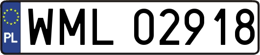 WML02918